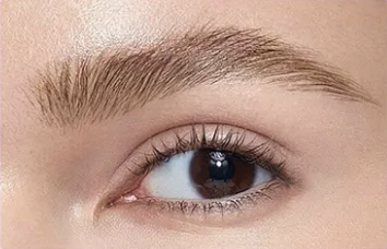 Brow-fection: Angled Brush and Dip Eyebrow tint