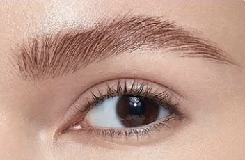 Brow-fection: Angled Brush and Dip Eyebrow tint